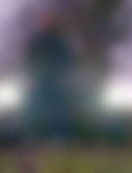 SWE*** - Annaberg-Buchholz