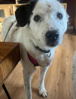 CARLA 💖 wundervolle Seniorin - Kallmünz