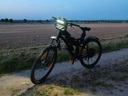 E-Bike Umbau - 25 km/h oder 45 km/h - Braunschweig