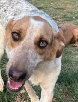 PACKO jung, hübsch, freundlich sucht - Berlin