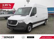 Mercedes Sprinter, 317 KA L2H2, Jahr 2023 - Wietmarschen