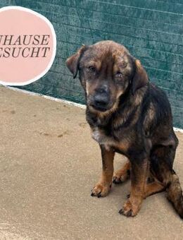 Notfall MOMO ❤️ - Saarbrücken