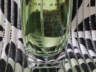 Joop! What About Adam Eau de Toilette spray (125 ml) aus dem Jahre 2018 - Wesel