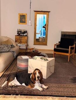 Wohnen in Bamberg nah zum Hain - Bamberg