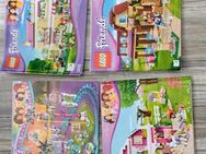 Lego Friends Sammlung - Kassel