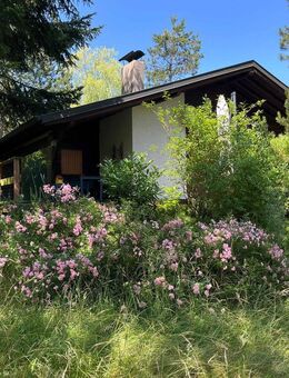 Charmantes Ferienhaus mit großem Grundstück in begehrter Lage am Stockweiher (Rhodes) - Saarbrücken