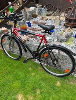 Fahrrad - Hambrücken