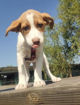 Camillo, unser Sonnenschein - Schlitz
