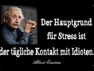 Lustiges Blechschild Einstein Der Hauptgrund für Stress... 30x20 cm - Berlin