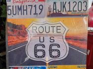 Blechschild Nummernschild Kennzeichen USA Highway neu - Regen
