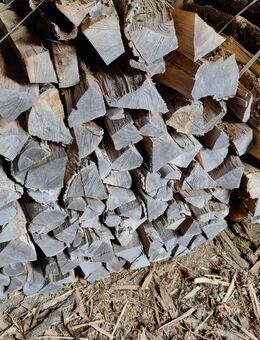 Brennholz Esche Kaminholz Bündel mit 1m Scheite - Illertissen