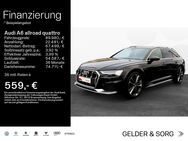 Audi A6 Allroad, quattro 55 TDI HDMatrix, Jahr 2024 - Coburg