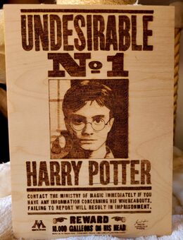 Harry Potter: Harry Potter Fahndungsposter Brandmalerei A4 - Bietigheim-Bissingen