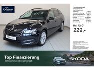 Skoda Superb, 1.5 TSI Ambition, Jahr 2024 - Amberg