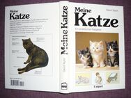 Katzenratgeber David Taylor- meine Katze - Bendorf (Rheinland-Pfalz)