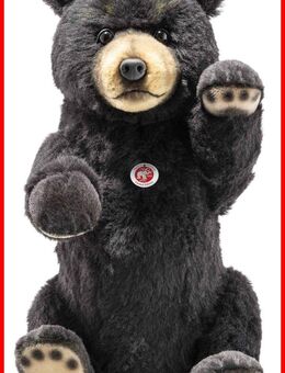 Steiff Schwarzbär - LIMITIERTE AUSGABE - Köln