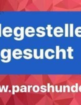 Pflegestellen gesucht - Bergkirchen