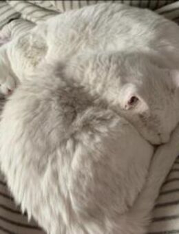 Süße Geschwister Frieda und Mona - Margetshöchheim