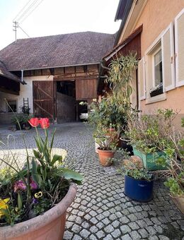 Rarität! Ehemaliger Bauernhof im Markgräflerland! Traumhafter Innenhof/ Scheune/ Winzerkeller usw - Müllheim