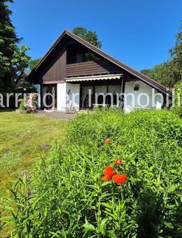 Viel Familienplatz auf sonnigem Grundstück! Einfamilienhaus für Jung und etwas Älter - Hanstedt (Landkreis Harburg)