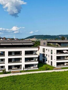 Exklusive 3.5-ZWG ° W 06.A ° Süd-West-Ausrichtung / SOLIS - Rappenstein Laufenburg - Laufenburg (Baden)