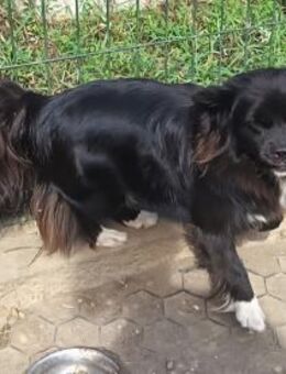 Doris möchte ihre Koffer packen - Olsberg