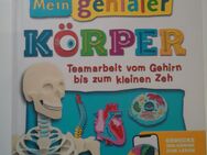 Kinderbuch - Mein genialer Körper - Freilassing