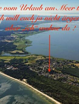 Insel Usedom EFH mit Gewerbe-Nebengebäude, wohnen wo andere Urlaub machen - Zempin