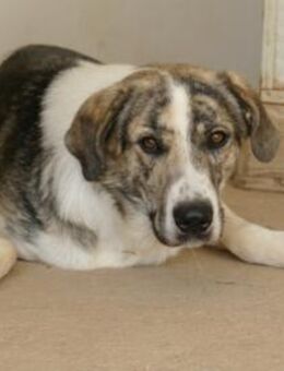 Jake möchte sein Leben genießen - Neuss