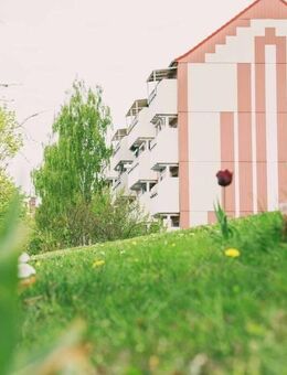 Nah am Stadtpark! - Prenzlau