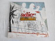 Böhse Onkelz - Adios, 2004, Doppel-LP, Vinyl, Schallplatte - Tauberbischofsheim Zentrum