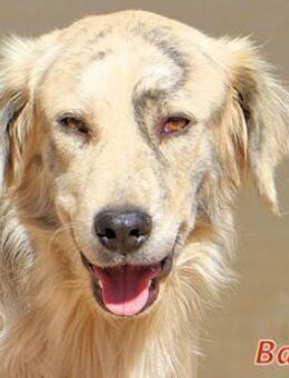 BASEL - bildschön aber unsicher - Regensburg