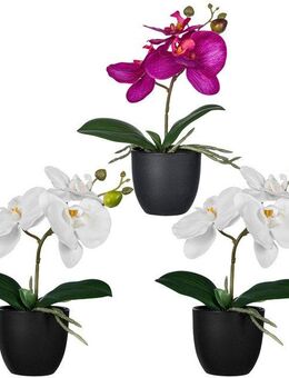 Kunstorchidee Orchidee Phalaenopsis, Creativ green, Höhe 23 cm, mit naturgetreuen Blüten
