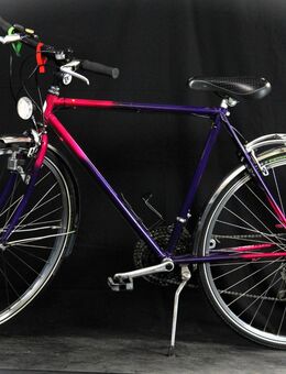 Herrenfahrrad der Marke FLIPPER , B25/159 - Aarau