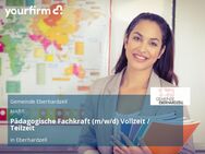 Pädagogische Fachkraft (m/w/d) Vollzeit / Teilzeit - Eberhardzell