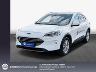 Ford Kuga, 2.0 EcoBlue TITANIUM X 88ürig (Diesel), Jahr 2024 - Neu Ulm