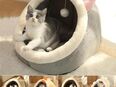 Katzenhöhle Katzenbett kuschelig Plüsch TRENDMOPS CUDDLECAT in 26121
