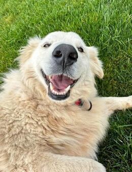 BLANCA ist jetzt bereit für eine Familie - Marienfließ