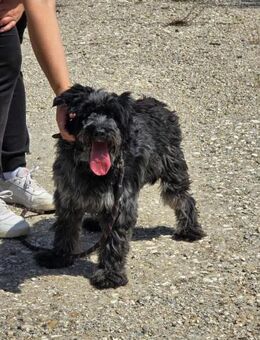 Mit sehr sozialer RADA durchs Leben ♥️ - München