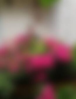 Rob*** - Oberschönegg