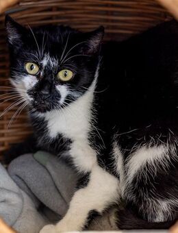 Mehrfach-Mutti Bärbel - Weeze