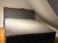 Hochwertiges Boxspringbett samt/grau (Abholung bis spätestens 16.5.) - Amberg Zentrum