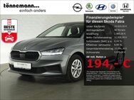 Skoda Fabia, ACTIVE HI MULTIFUNKTIONSKAMERA, Jahr 2021 - Coesfeld