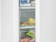 Hanseatic Gefrierschrank HGS8555BW, 85 cm hoch, 55 cm breit