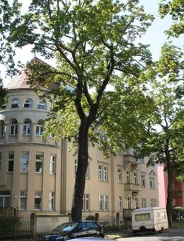 TOP Vermietete 2-Raum-Erdgeschoswohnung mit Balkon in Tolkewitz zu verkaufen - Dresden