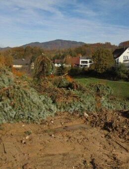 Doppelhaushälfte in erstklassiger Wohnlage - Schopfheim