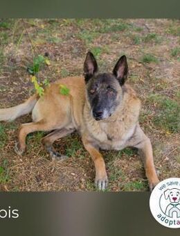 Vobis: Endlich wieder gewollt sein - Kirchzell