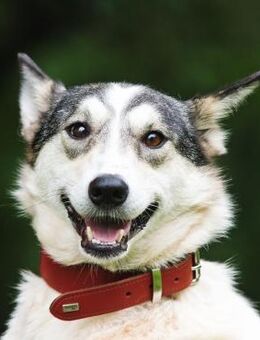 MILA - lebensfroh & freundlich - Augsburg