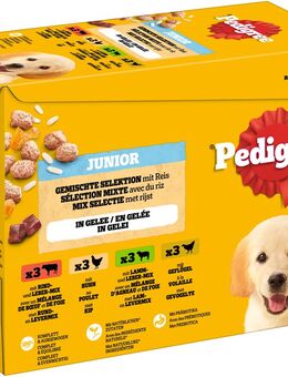 Pedigree Junior Frischebeutel Multipack - 12 x 100 g Gemischte Selektion in Gelee (4 Varietäten)