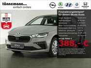 Skoda Scala, SELECTION SITZ WIRELESS CHARGING, Jahr 2024 - Coesfeld